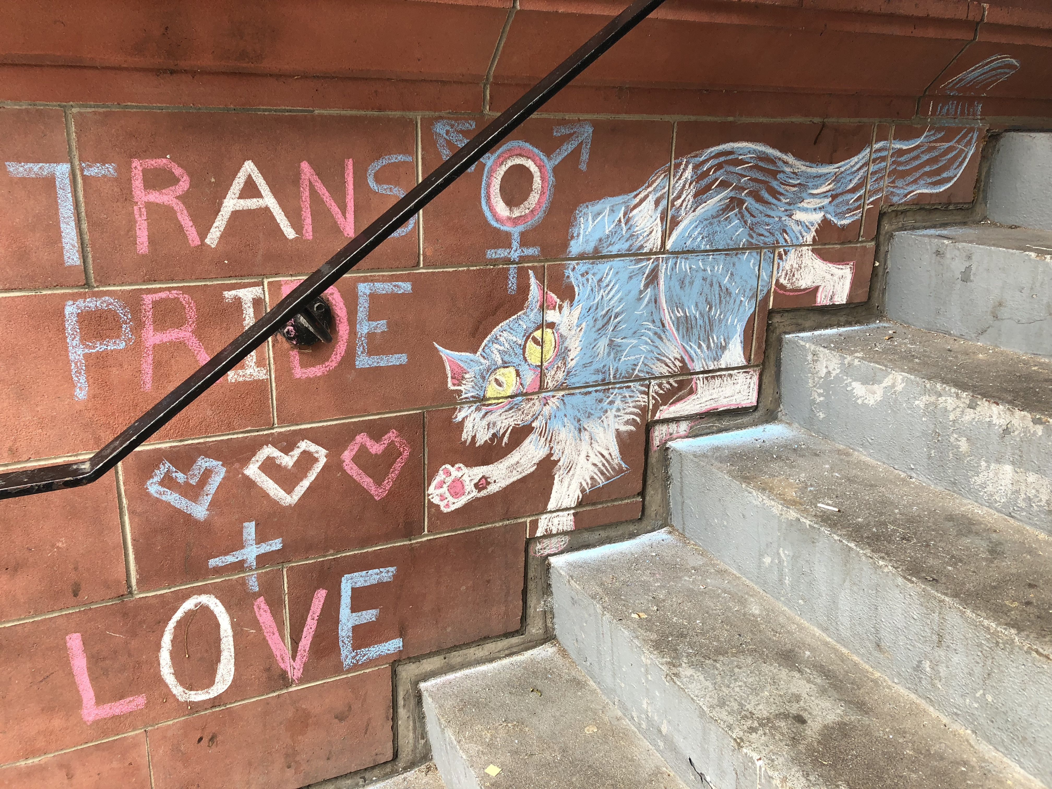 Trans pride + love cat