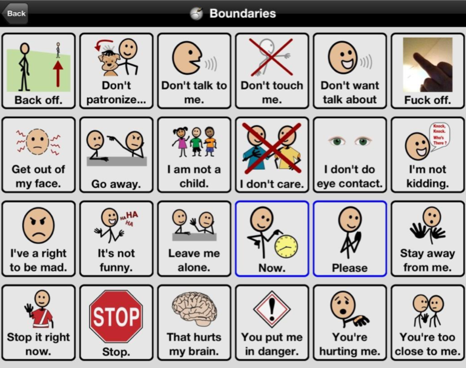 Computer window headed ‘Boundaries’ with 24 icon-plus-text tiles arranged in a six-by-four grid. Examples include ‘Back off’, ‘I don’t do eye contact’, ‘You’re too close to me’ and ‘Fuck off’.