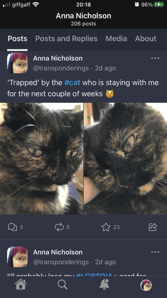 Mastodon’s timeline for Anna Nicholson, showing one and a bit toots, the first of which contains two photos of a cat, side by side, taking up the full screen width. Action buttons for reply (with number of replies), boost (with number of boosts), favourite (with number of favourites) and share are visible beneath the first toot.