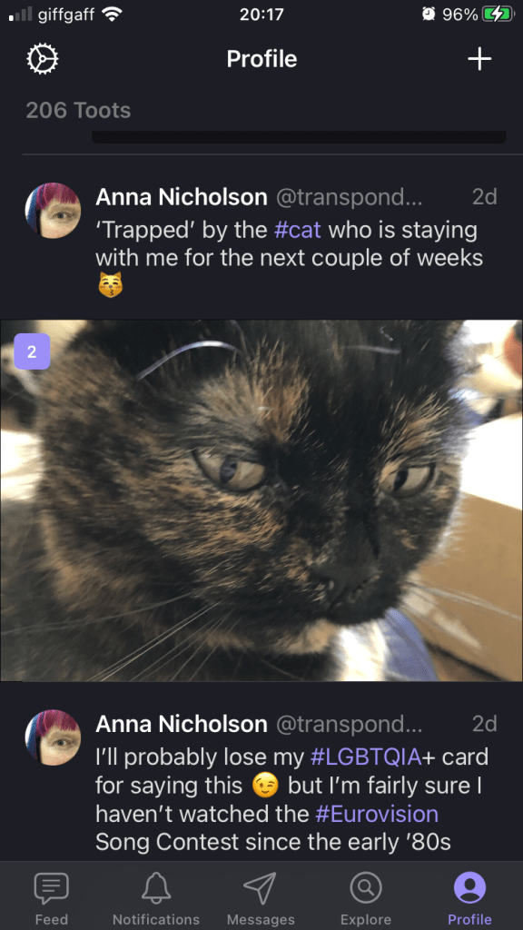 Mast’s Profile timeline, showing two toots, the first of which contains a full width photo of a cat, with a ‘2’ in the top left corner to indicate that there are two images here. No visible action buttons alongside individual toots.