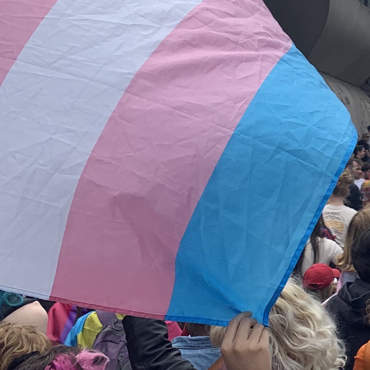 Kishwer and pals try to flush trans people out of toilets